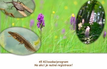Letak_Za_biotopy_Karpaty_terenni_exkurze_2018