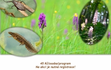 Letak_Za_biotopy_Karpaty_terenni_exkurze_2018