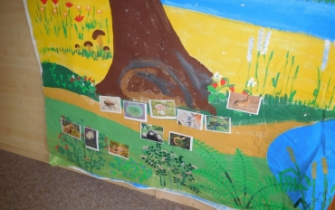 Beskydy pod lupou - Biotopy Beskyd I. URSUS (10)