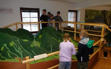 Beskydy pod lupou - Biotopy Beskyd I. URSUS (54)