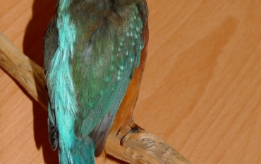 P1160764