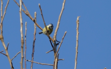 P1180970