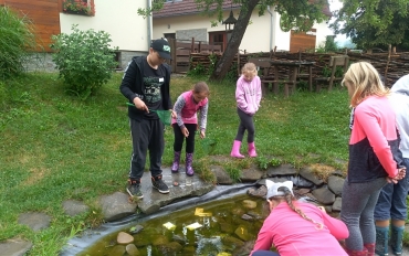 IMG_20210712_100613