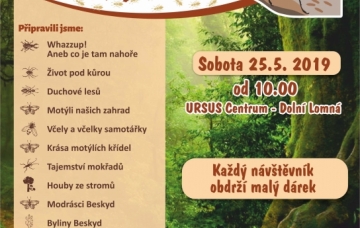 A4 ze života hmyzu 2019(1)
