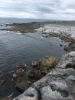 2450img_3079.jpg