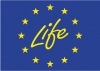 8535life_1.jpg