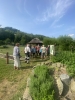 462img_9653.jpeg