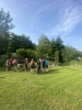7141img_9672.jpeg