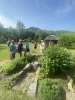 991img_9652.jpeg