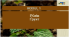 2333umeu_1.png