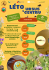 5677green_brown_orange_creative_summer_camp_program_2_1_.png
