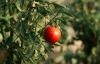 798zaznam_cele_obrazovky_25.8.2025_143238.bmp.jpg