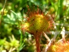 Beskydy_1672009_071